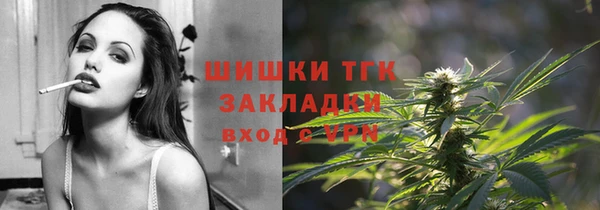 дживик Надым