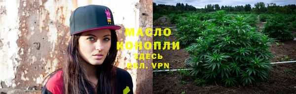 дживик Надым