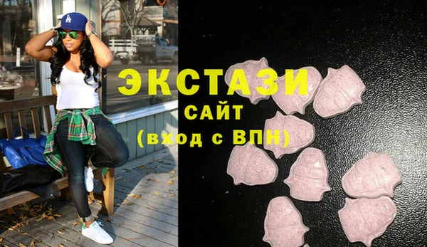 дживик Надым