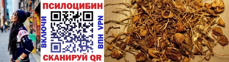 Купить где  Малая Вишера  Галлюциногенные грибы прущие грибы 